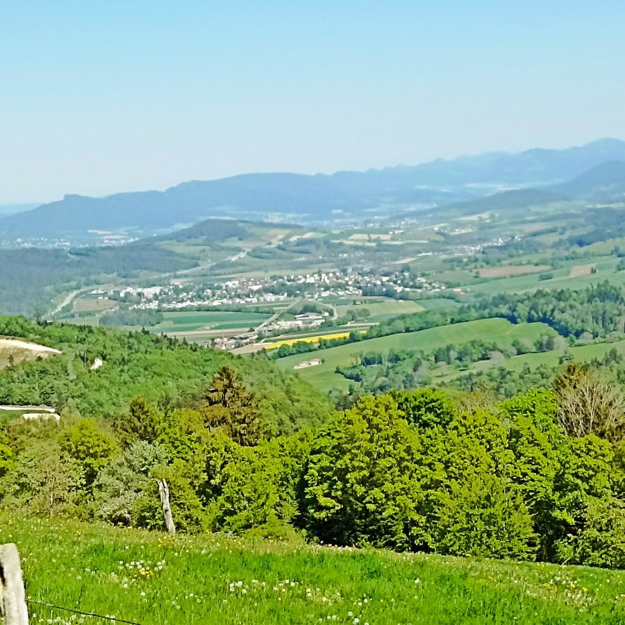La vallée de Delémont vue depuis les hauteurs, entre forêts et prairies.